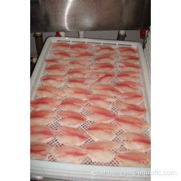 Filete de tilapia negro de pescado congelado de alta calidad
